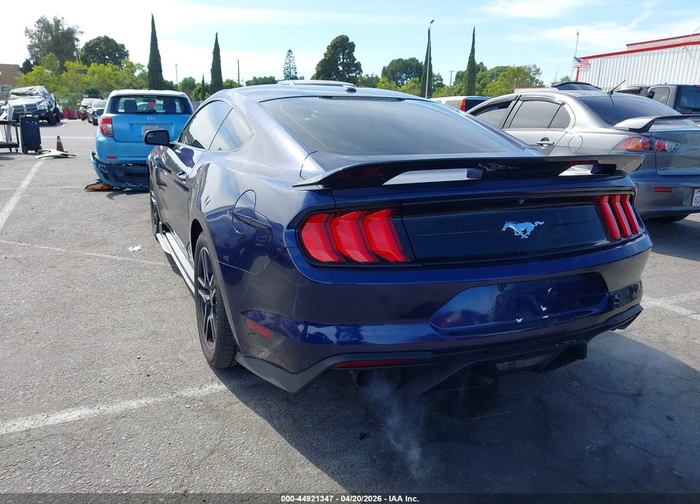 2019 FORD MUSTANG VIN: 1FA6P8TH0K5184261