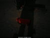 Fotka 11