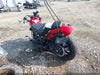 Fotka 3