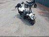 Fotka 3
