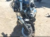 Zdjecie 16