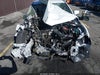 Fotka 11