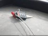 Zdjecie 11
