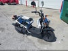 2022 Honda Ruckus