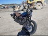 2019 Harley-davidson Street bob