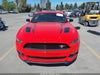 Zdjecie 13
