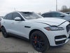 Zdjecie 13