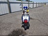 Zdjecie 6