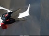 Zdjecie 11