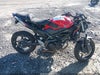 Fotka 12