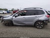 Zdjecie 15