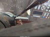 Fotka 11