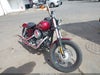 2016 Harley-davidson Street bob