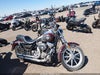 1986 Harley-davidson Fxr