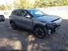 2024 Kia Seltos