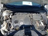 Zdjecie 10