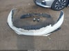 Zdjecie 12