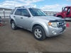 2010 Ford Escape