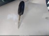 Zdjecie 11