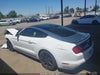 Zdjecie 15