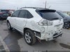 Zdjecie 6