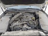 Zdjecie 10