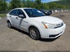 2010 Ford Focus