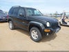 2002 Jeep Liberty (north america)