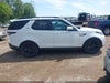 Zdjecie 13