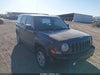 2014 Jeep Liberty (patriot)