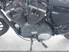 Fotka 9