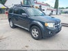 2009 Ford Escape