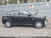 Zdjecie 14
