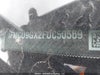 Zdjecie 9