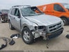 2010 Ford Escape