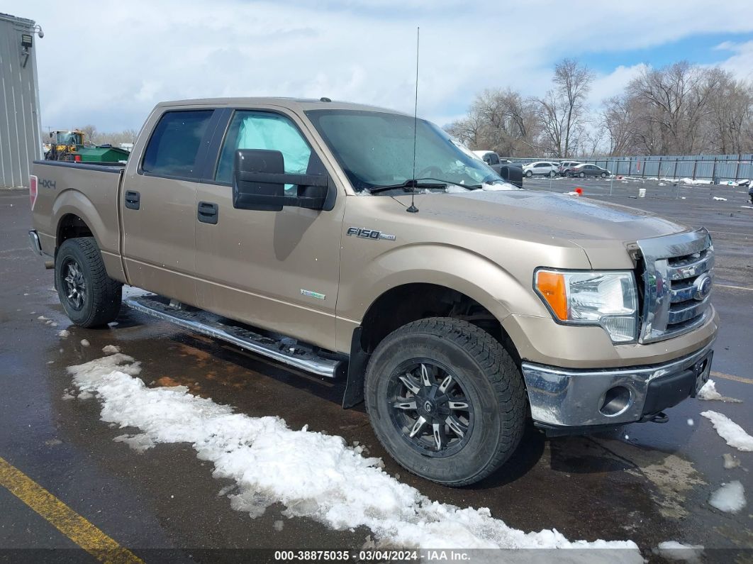 FORD F-150 2011