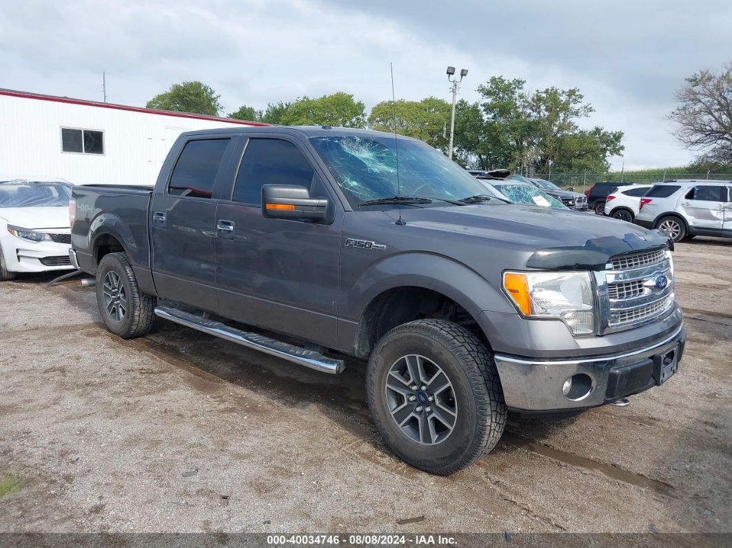 FORD F-150 2013