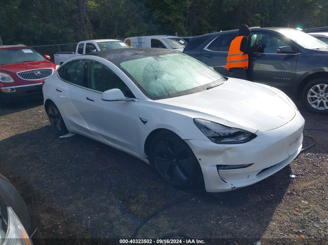 TESLA MODEL 3 2019