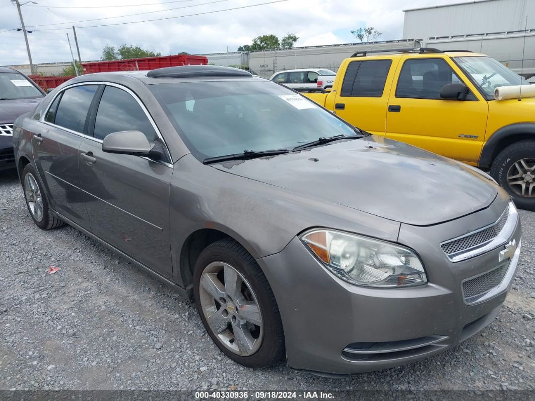 CHEVROLET MALIBU 2010