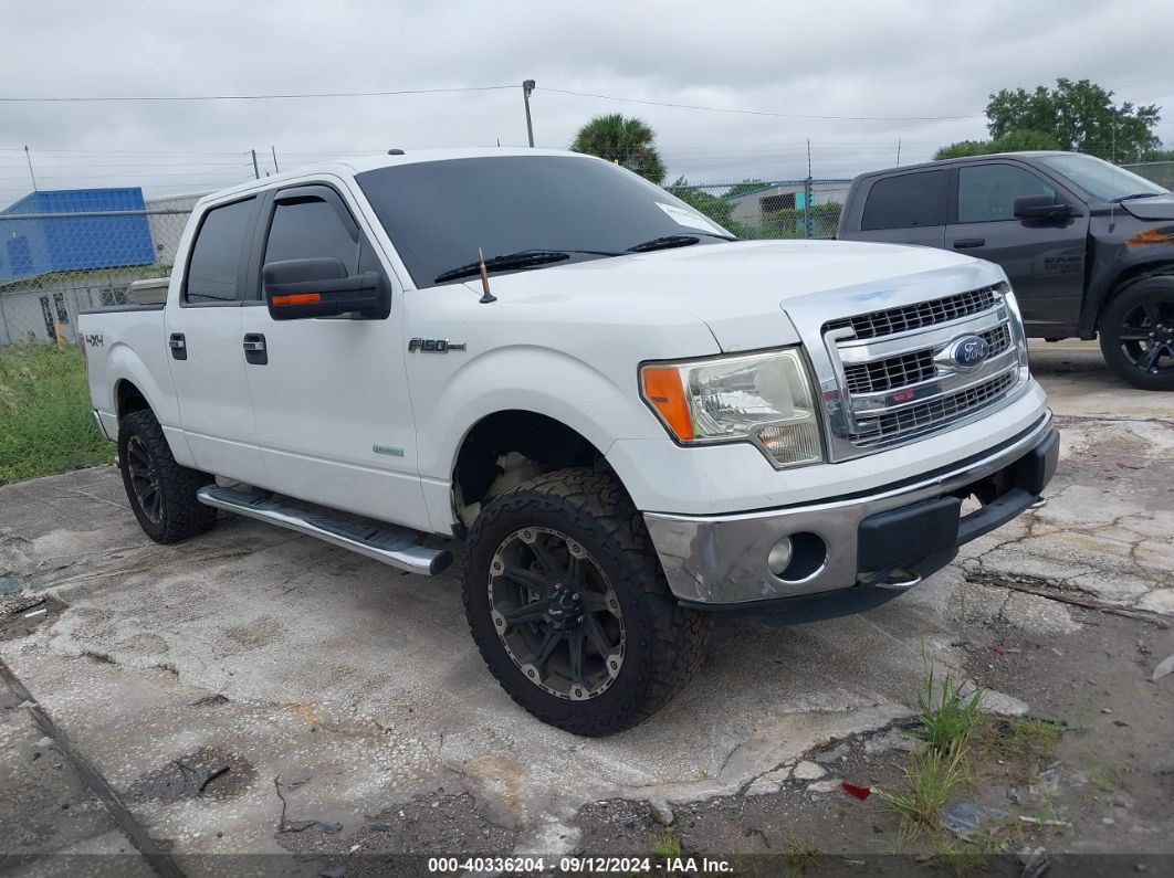 FORD F-150 2013