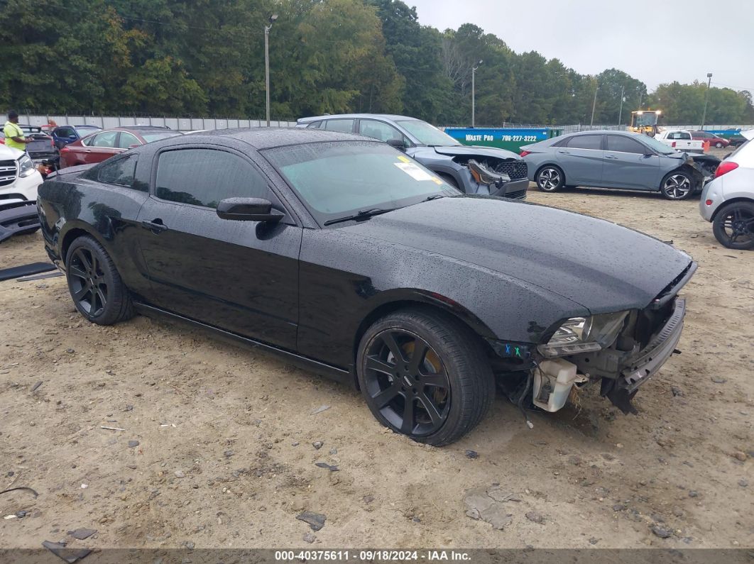 FORD MUSTANG 2014