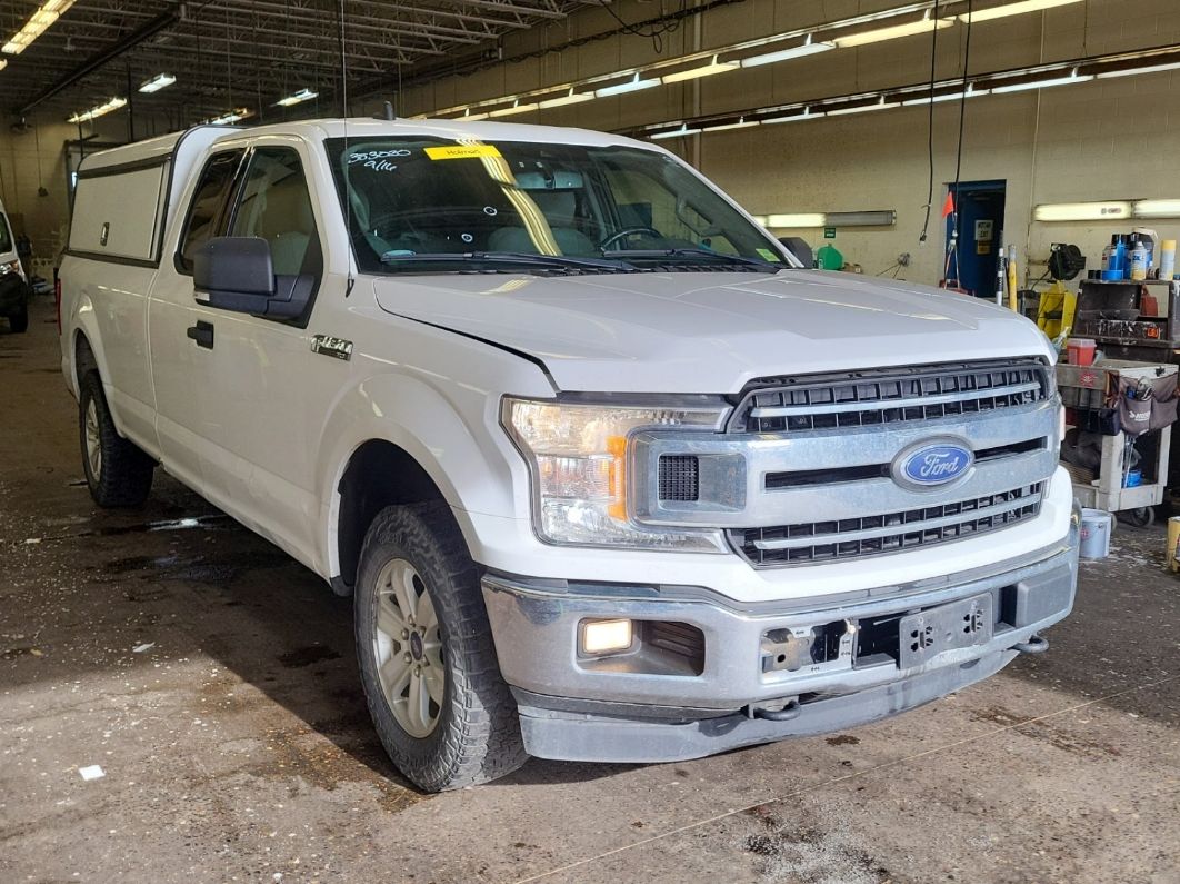 FORD F150 2019