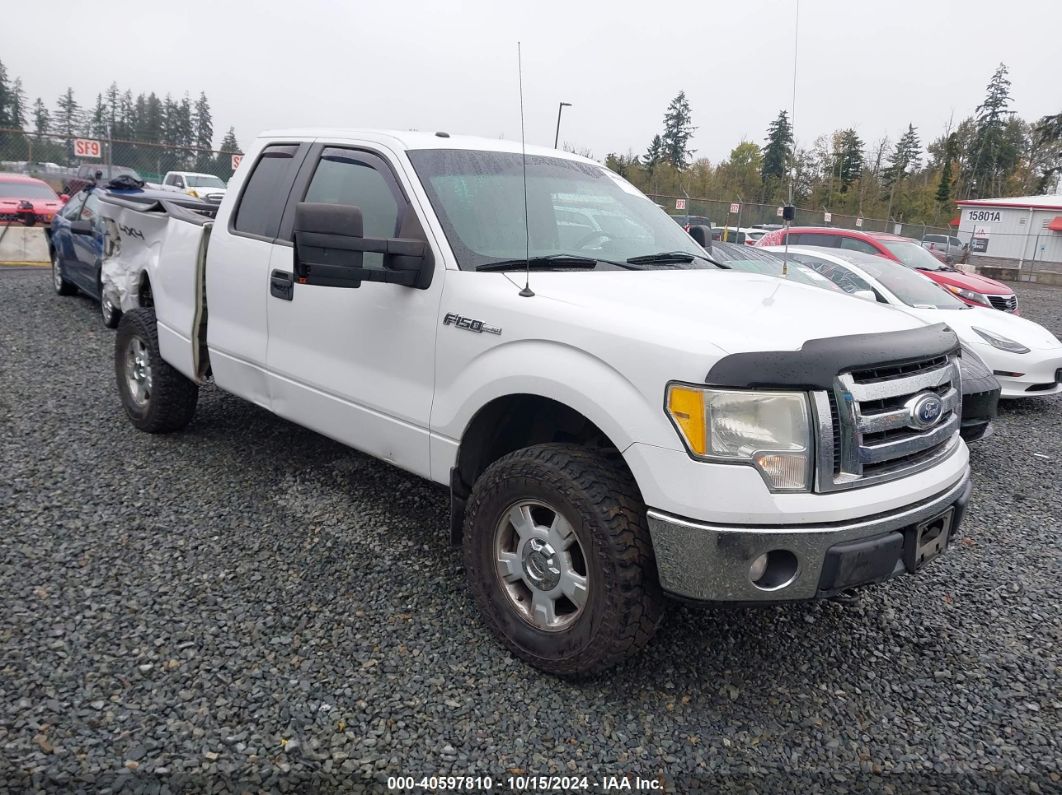 FORD F-150 2010