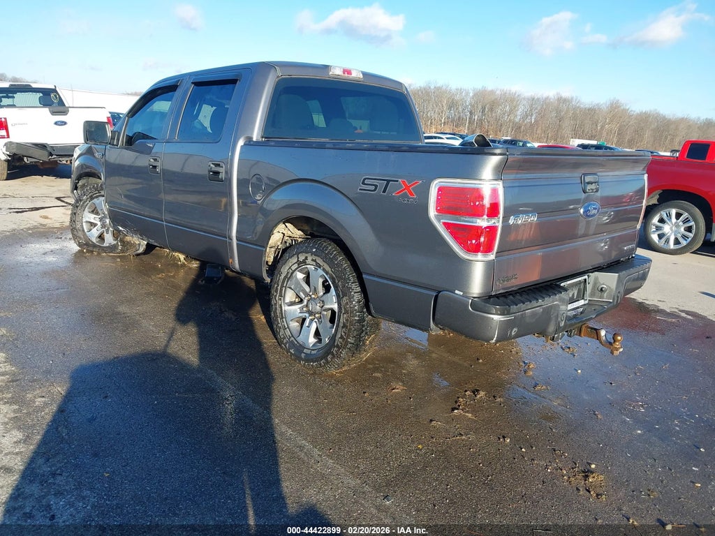 2014 Ford F-150 STX photo 3
