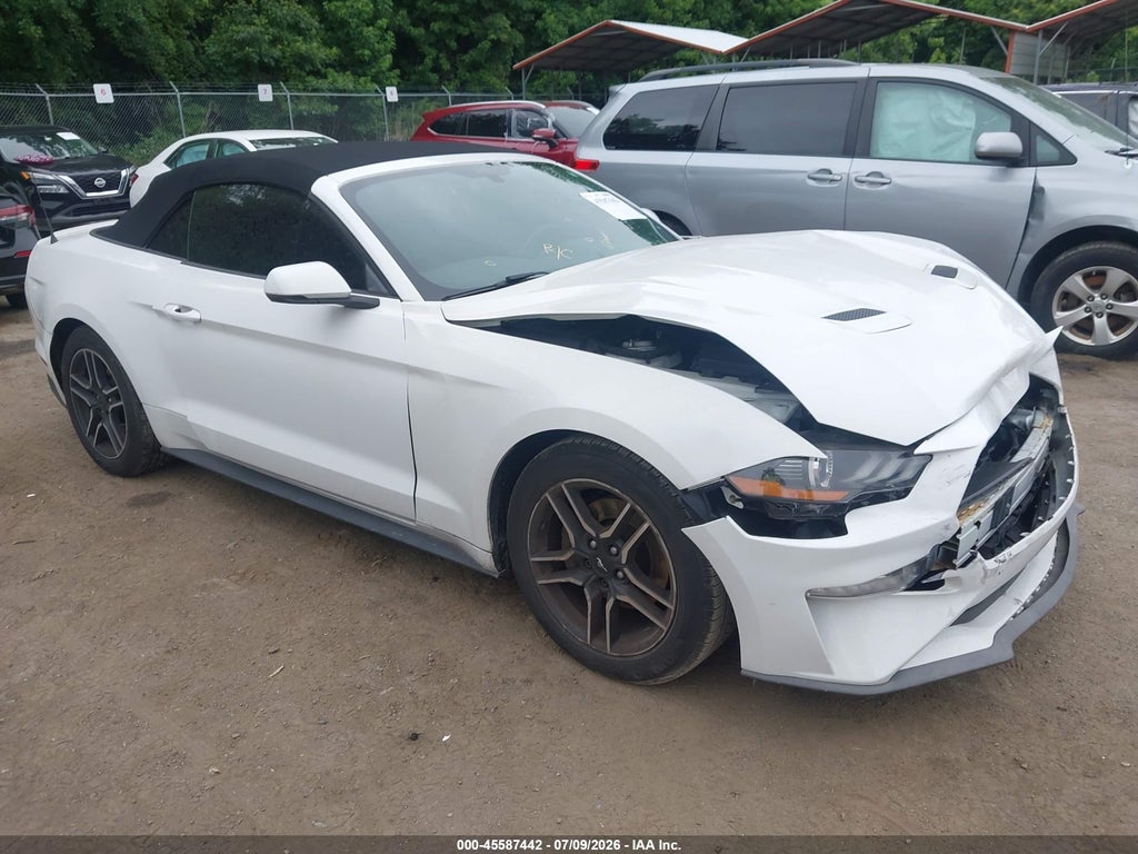 2019 FORD MUSTANG