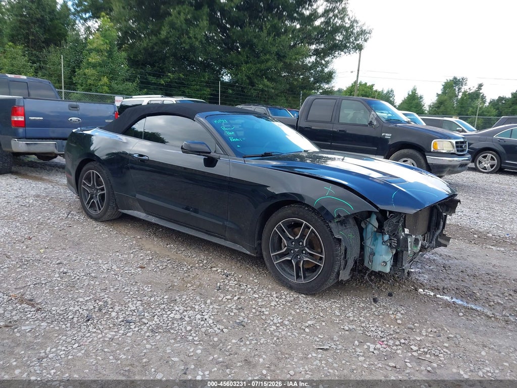 2019 FORD MUSTANG