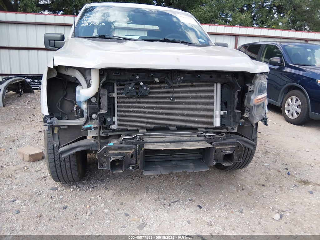 2024 Ford F-150 STX photo 6