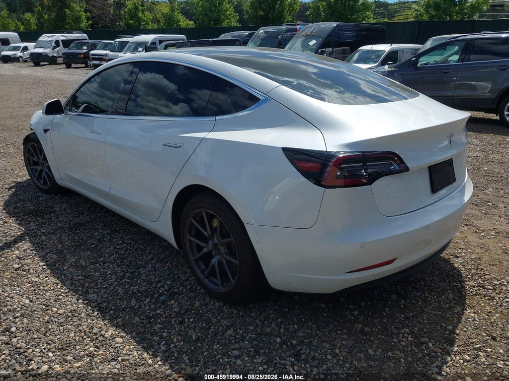 2020 Tesla Model 3 Standard Range Plus Rear-Wheel Drive/Standard Range Rear-Wheel Drive photo 3