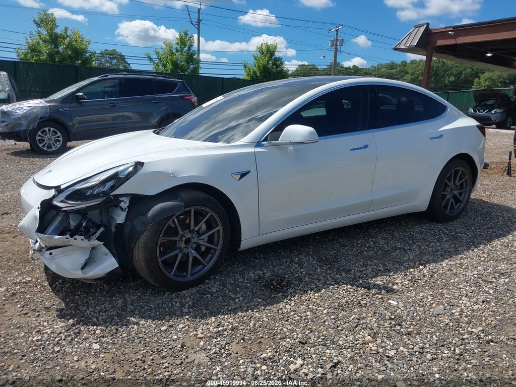 2020 Tesla Model 3 Standard Range Plus Rear-Wheel Drive/Standard Range Rear-Wheel Drive photo 6