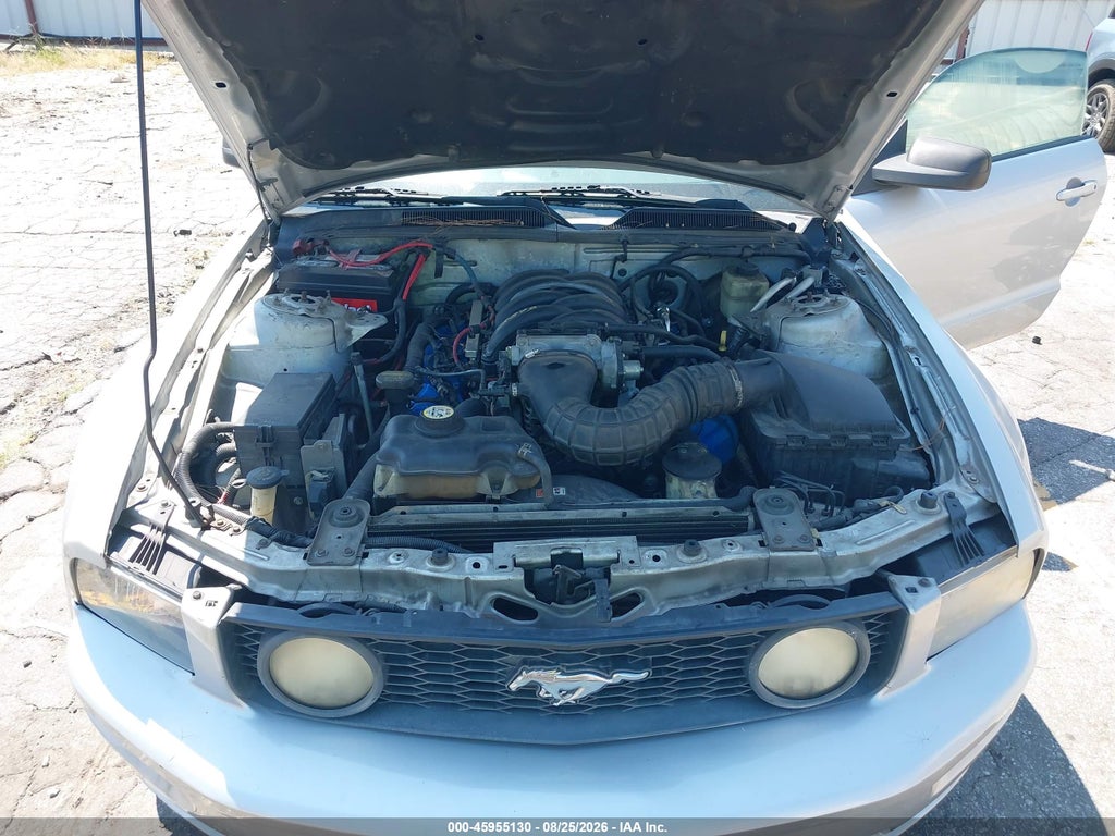 2006 Ford Mustang GT photo 10